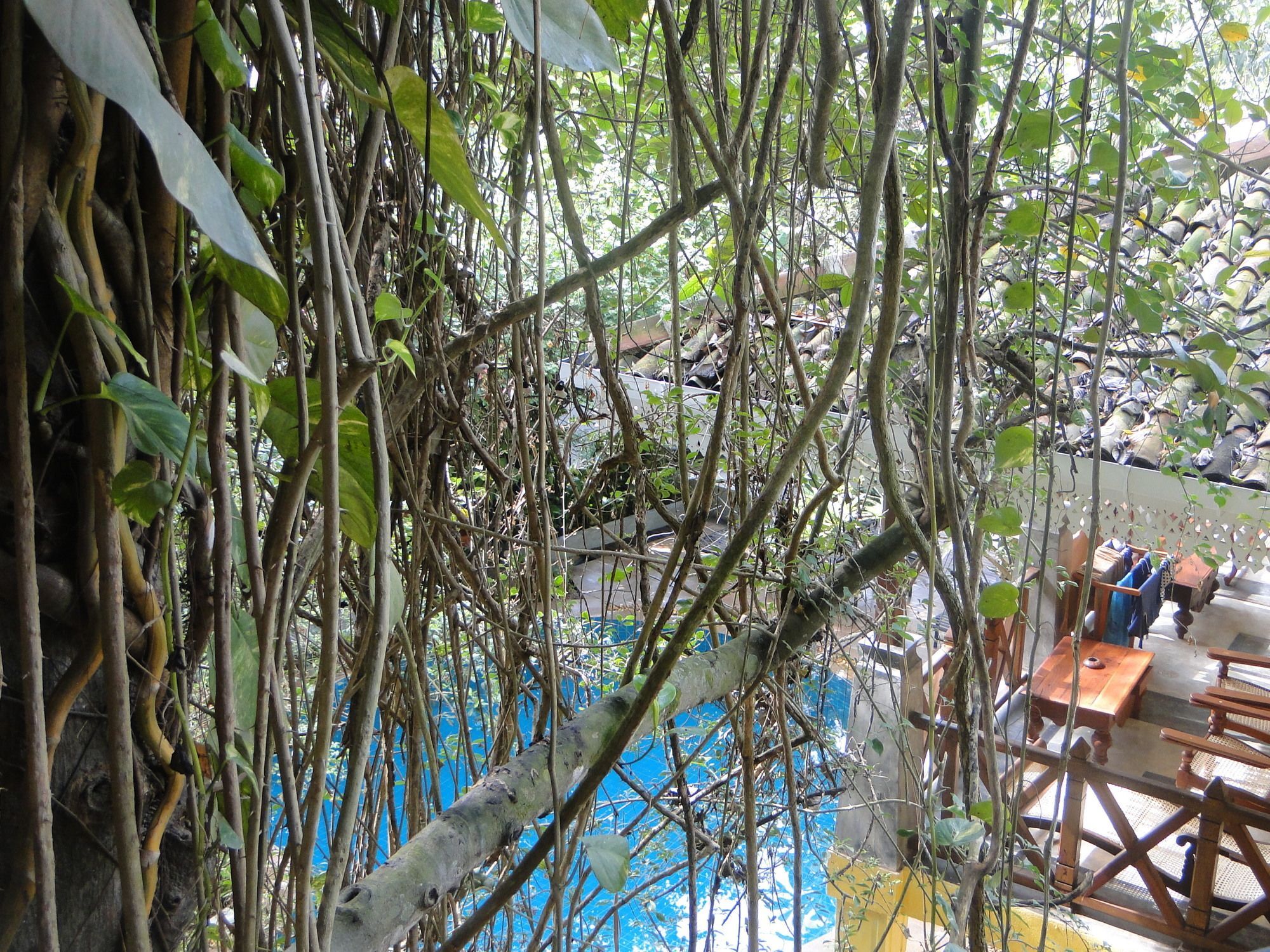 Thambapanni Retreat Hotel Unawatuna Exterior foto